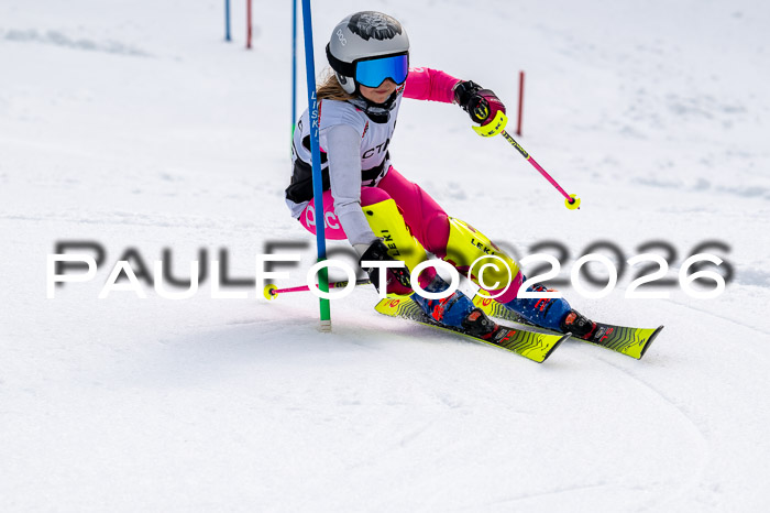 DSV - Actanol Deutscher Schülercup U12 Finale SLX 2026