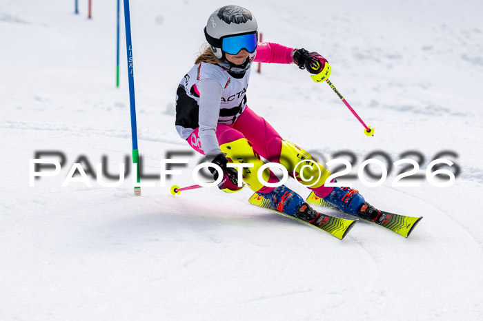 DSV - Actanol Deutscher Schülercup U12 Finale SLX 2026