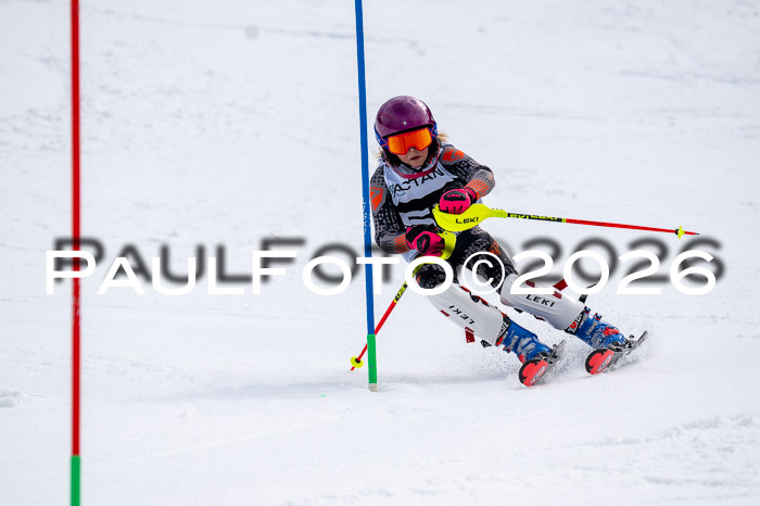 DSV - Actanol Deutscher Schülercup U12 Finale SLX 2026