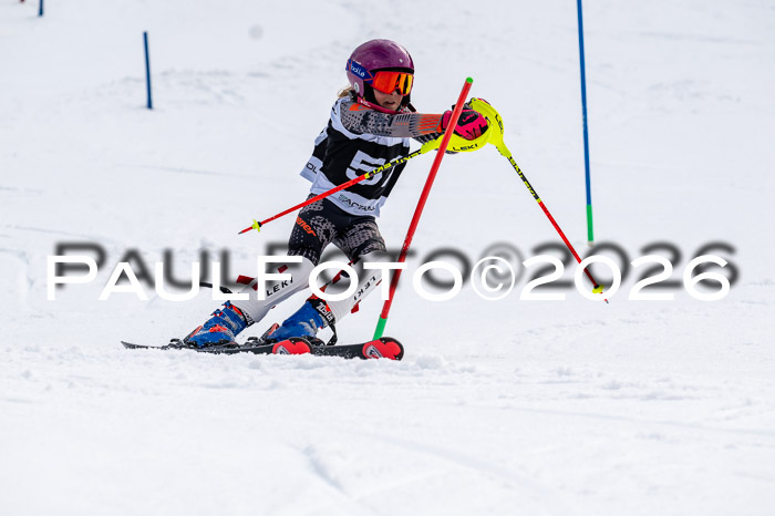 DSV - Actanol Deutscher Schülercup U12 Finale SLX 2026