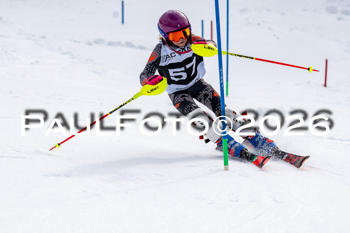 DSV - Actanol Deutscher Schülercup U12 Finale SLX 2026