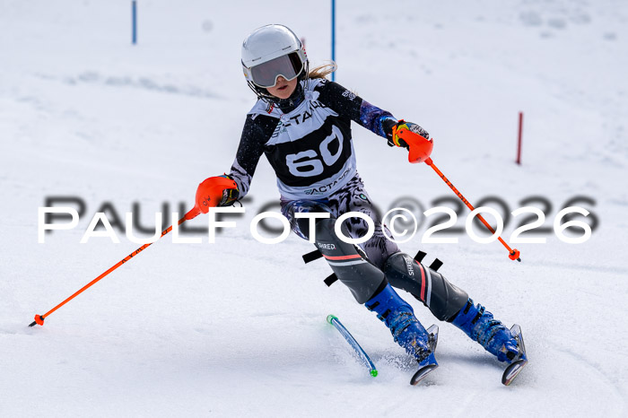 DSV - Actanol Deutscher Schülercup U12 Finale SLX 2026