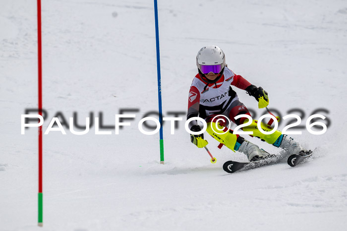 DSV - Actanol Deutscher Schülercup U12 Finale SLX 2026