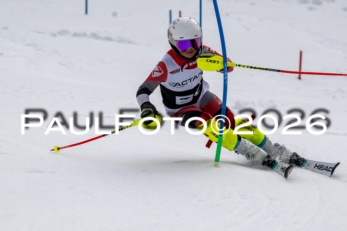 DSV - Actanol Deutscher Schülercup U12 Finale SLX 2026