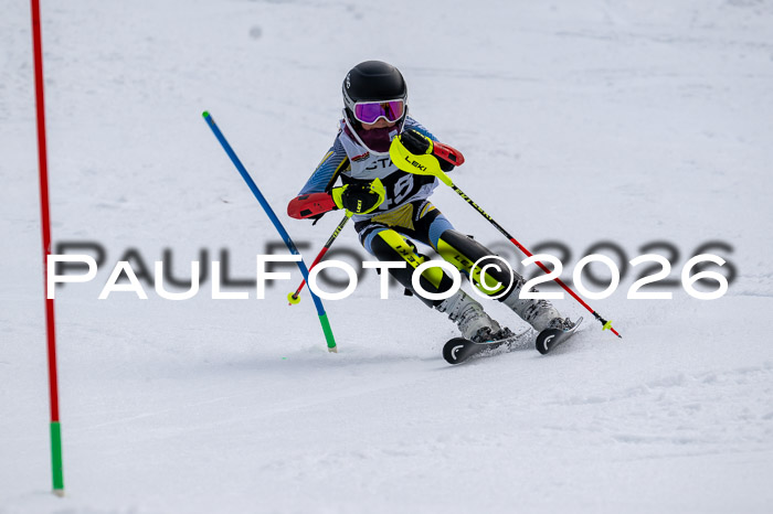 DSV - Actanol Deutscher Schülercup U12 Finale SLX 2026
