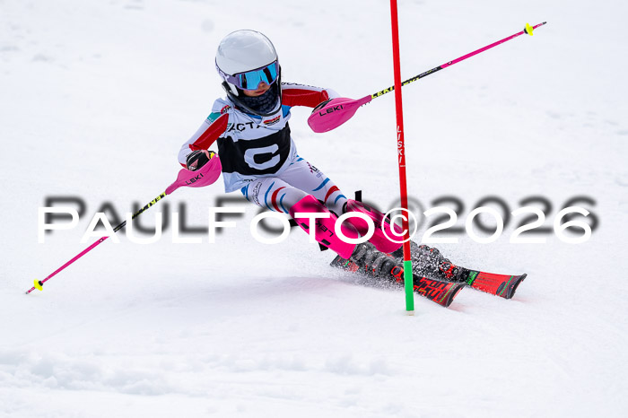 DSV - Actanol Deutscher Schülercup U12 Finale SLX 2026