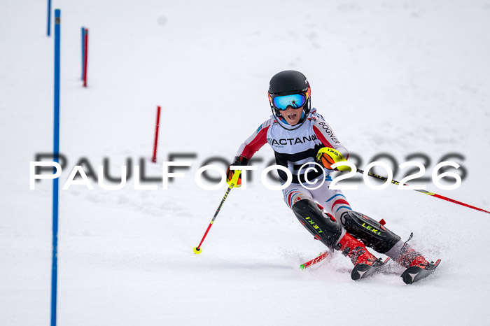 DSV - Actanol Deutscher Schülercup U12 Finale SLX 2026