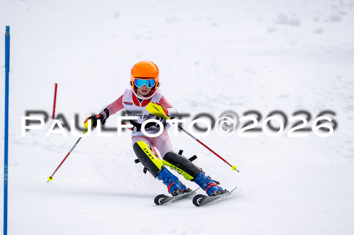 DSV - Actanol Deutscher Schülercup U12 Finale SLX 2026