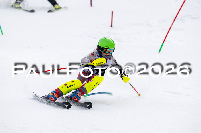 DSV - Actanol Deutscher Schülercup U12 Finale SLX 2026