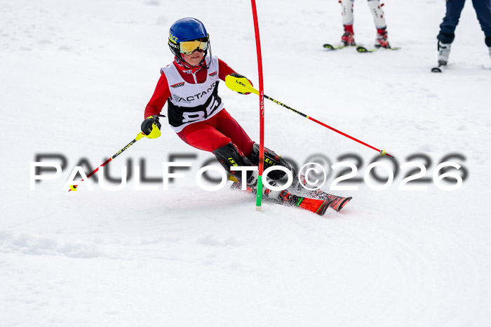 DSV - Actanol Deutscher Schülercup U12 Finale SLX 2026