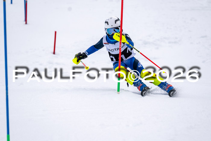 DSV - Actanol Deutscher Schülercup U12 Finale SLX 2026