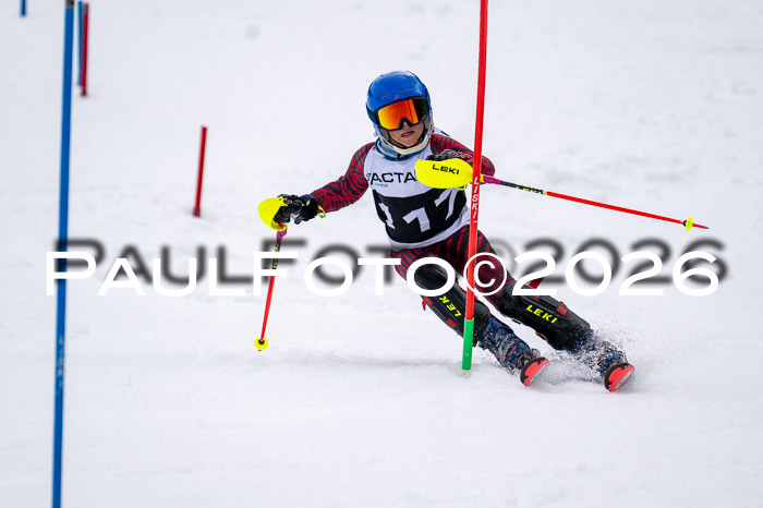 DSV - Actanol Deutscher Schülercup U12 Finale SLX 2026