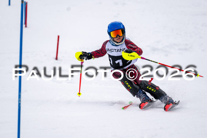 DSV - Actanol Deutscher Schülercup U12 Finale SLX 2026