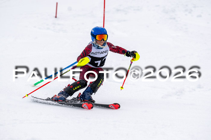 DSV - Actanol Deutscher Schülercup U12 Finale SLX 2026