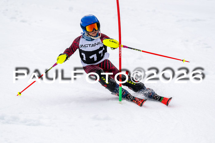 DSV - Actanol Deutscher Schülercup U12 Finale SLX 2026