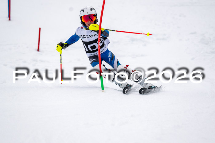 DSV - Actanol Deutscher Schülercup U12 Finale SLX 2026