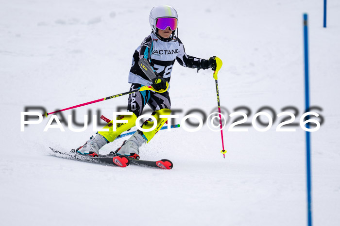 DSV - Actanol Deutscher Schülercup U12 Finale SLX 2026