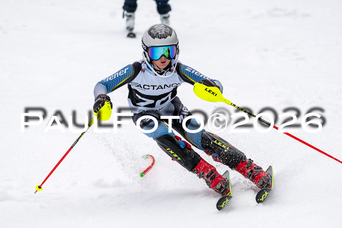 DSV - Actanol Deutscher Schülercup U12 Finale SLX 2026