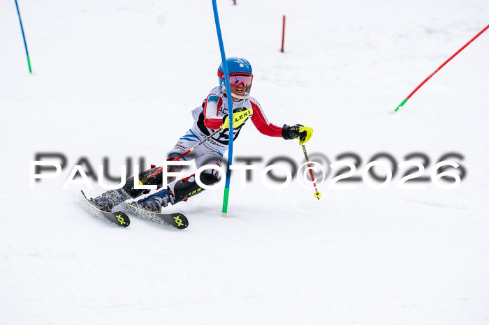 DSV - Actanol Deutscher Schülercup U12 Finale SLX 2026