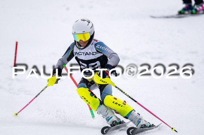 DSV - Actanol Deutscher Schülercup U12 Finale SLX 2026