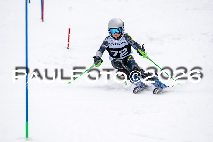 DSV - Actanol Deutscher Schülercup U12 Finale SLX 2026