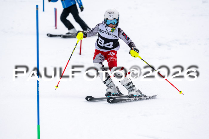 DSV - Actanol Deutscher Schülercup U12 Finale SLX 2026