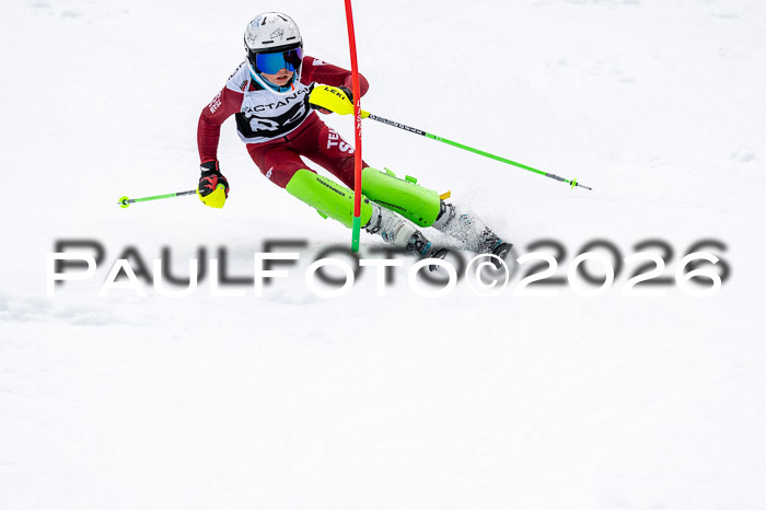 DSV - Actanol Deutscher Schülercup U12 Finale SLX 2026