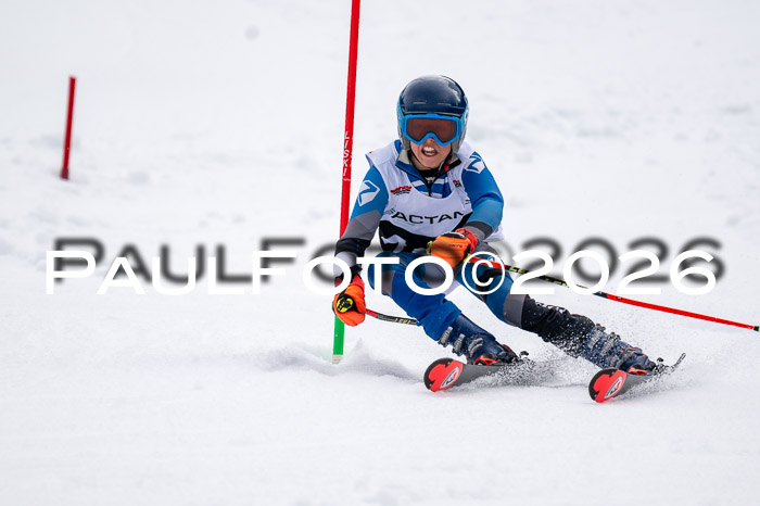 DSV - Actanol Deutscher Schülercup U12 Finale SLX 2026