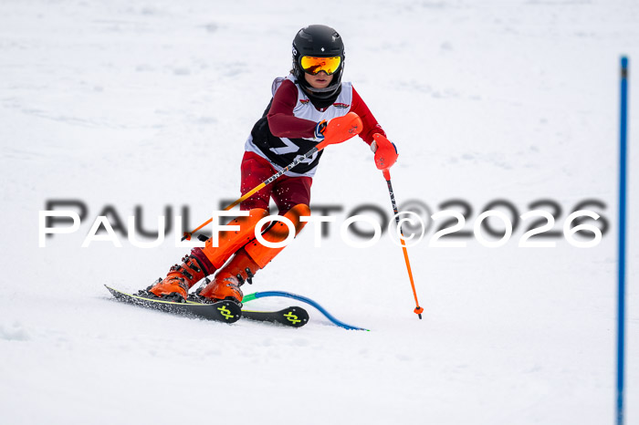 DSV - Actanol Deutscher Schülercup U12 Finale SLX 2026