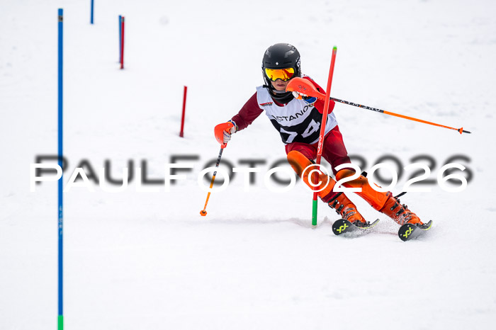 DSV - Actanol Deutscher Schülercup U12 Finale SLX 2026