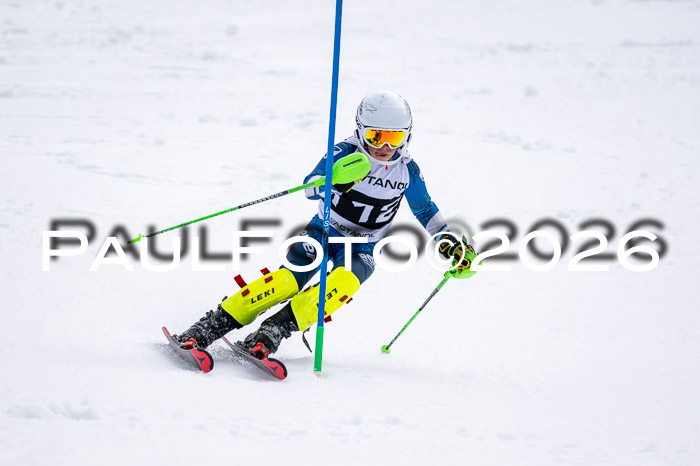 DSV - Actanol Deutscher Schülercup U12 Finale SLX 2026