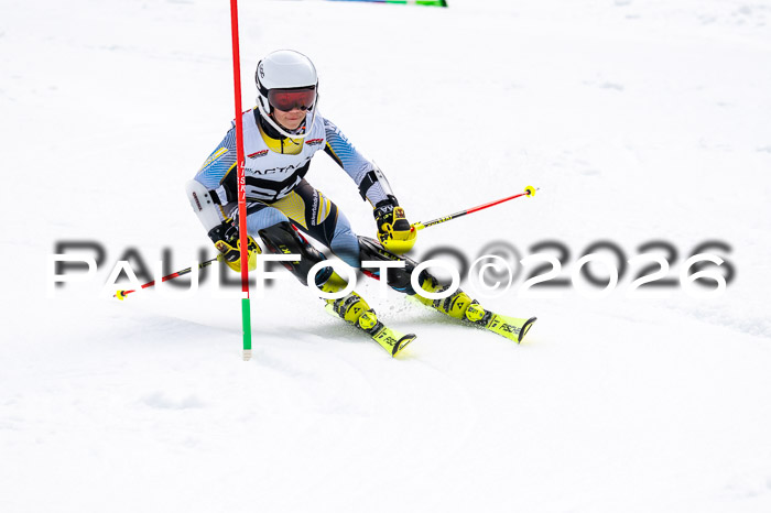 DSV - Actanol Deutscher Schülercup U12 Finale SLX 2026