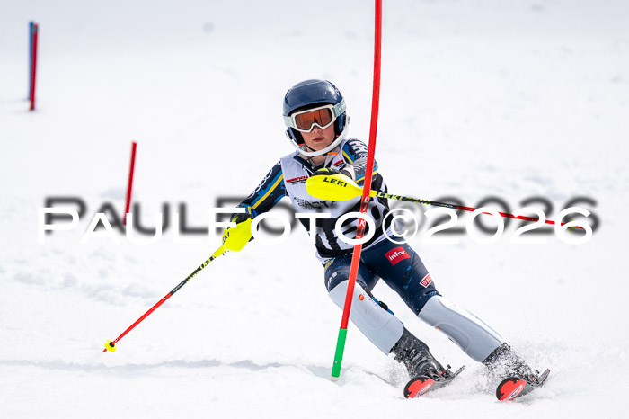 DSV - Actanol Deutscher Schülercup U12 Finale SLX 2026