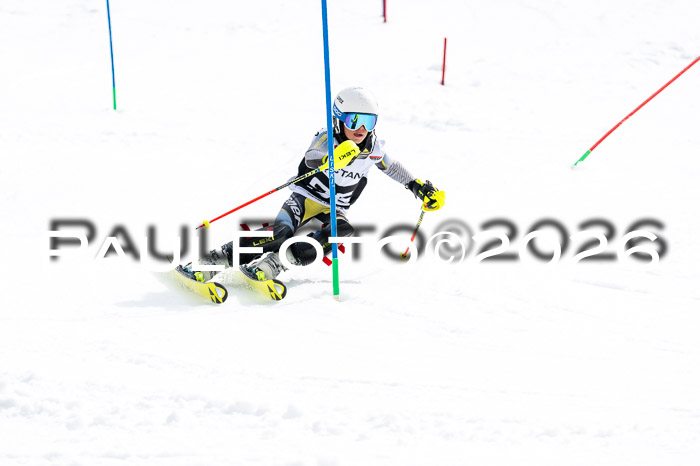 DSV - Actanol Deutscher Schülercup U12 Finale SLX 2026