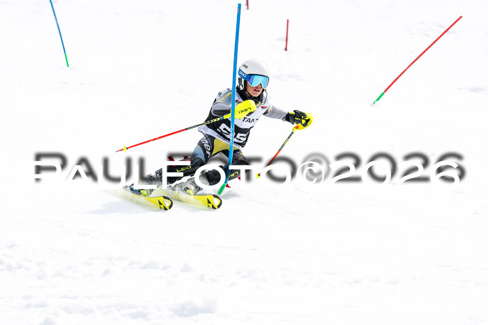 DSV - Actanol Deutscher Schülercup U12 Finale SLX 2026