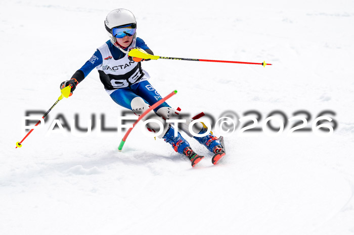 DSV - Actanol Deutscher Schülercup U12 Finale SLX 2026