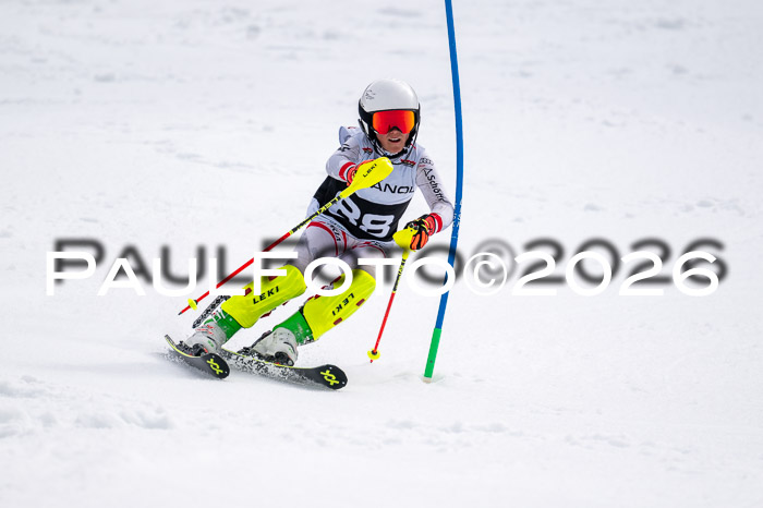 DSV - Actanol Deutscher Schülercup U12 Finale SLX 2026