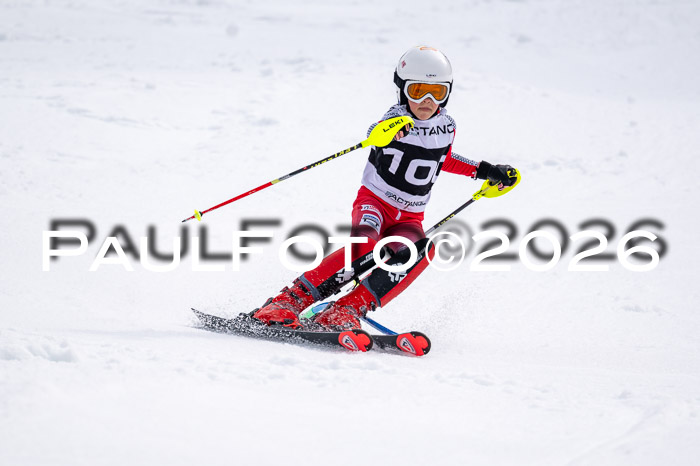 DSV - Actanol Deutscher Schülercup U12 Finale SLX 2026