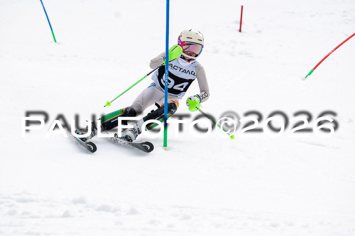 DSV - Actanol Deutscher Schülercup U12 Finale SLX 2026