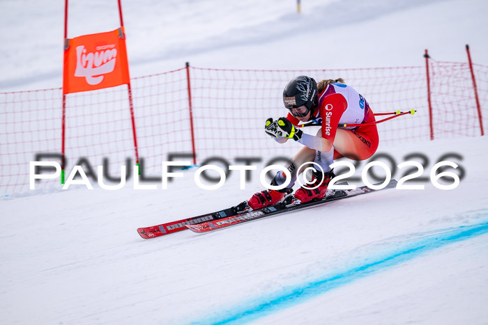 NC DH Training Damen + Herren Axamer Lizum 24.03.2026