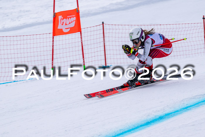 NC DH Training Damen + Herren Axamer Lizum 24.03.2026