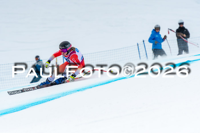 NC DH Training Damen + Herren Axamer Lizum 24.03.2026