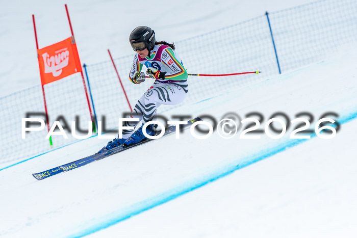 NC DH Training Damen + Herren Axamer Lizum 24.03.2026