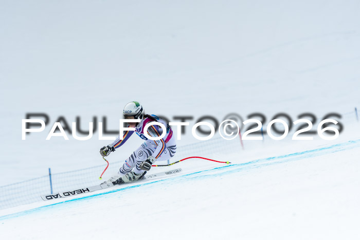 NC DH Training Damen + Herren Axamer Lizum 24.03.2026