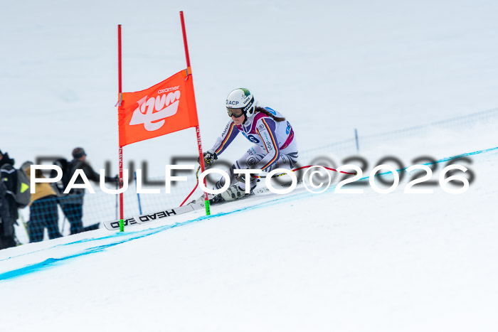 NC DH Training Damen + Herren Axamer Lizum 24.03.2026