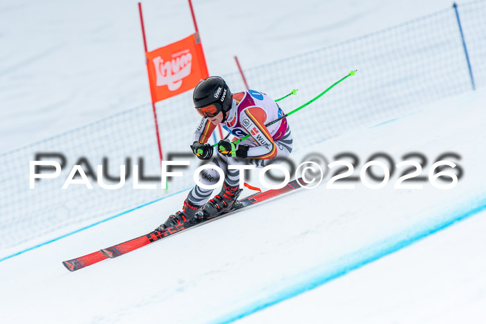 NC DH Training Damen + Herren Axamer Lizum 24.03.2026