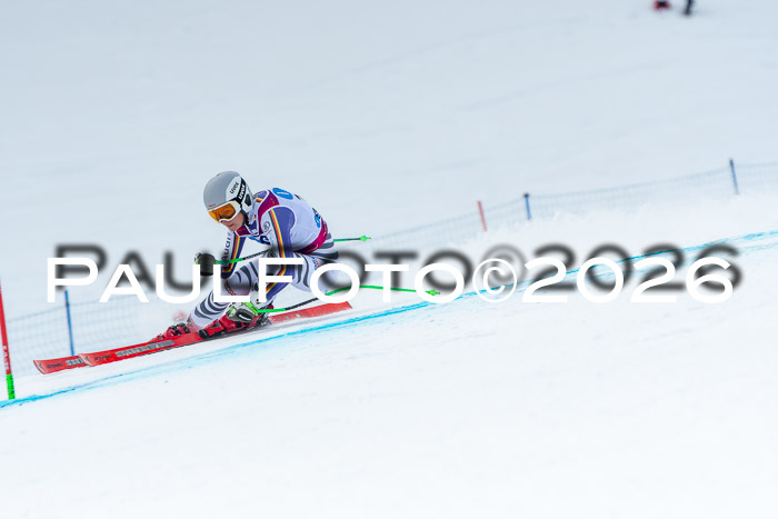 NC DH Training Damen + Herren Axamer Lizum 24.03.2026