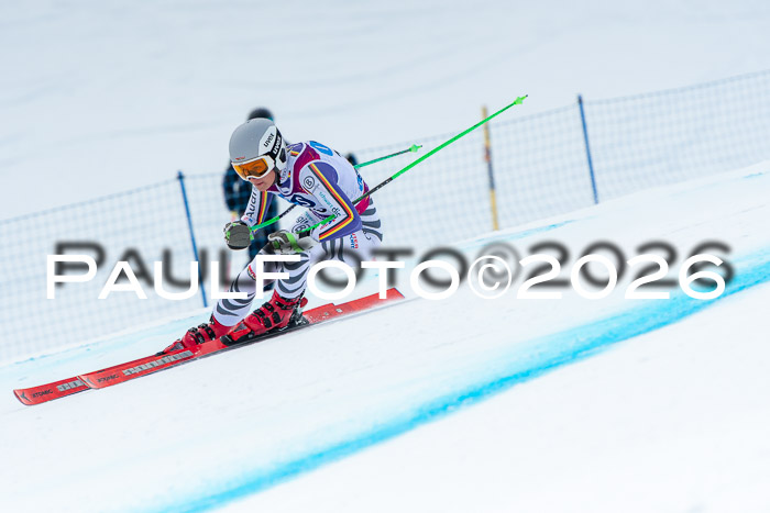 NC DH Training Damen + Herren Axamer Lizum 24.03.2026