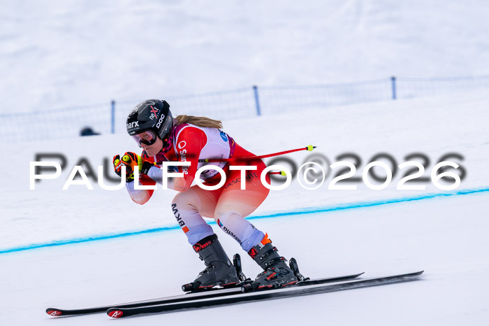 NC DH Training Damen + Herren Axamer Lizum 24.03.2026