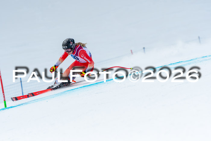 NC DH Training Damen + Herren Axamer Lizum 24.03.2026